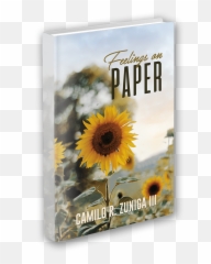 About The Book Feelings On Paper By Camilo Zuniga - Photo Caption Emoji,Up And Down Emotions