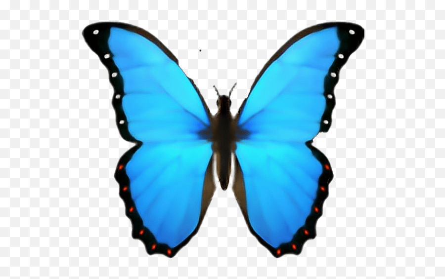 Emoji Emojis Sticker By - Iphone Emoji Butterfly Png,All Of Emojis