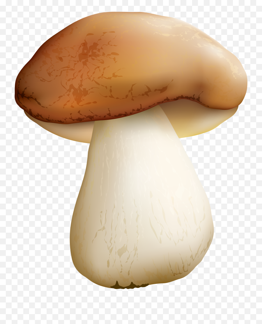 Mushroom Png - 10 Free Hq Online Puzzle Games On Mushroom Png Emoji,Emoji Mushroom Cloud