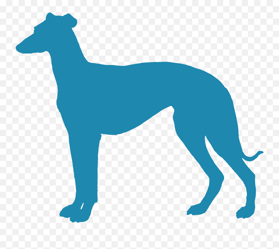 Puppy Breeder Referral - Silhouette Transparent Greyhound Png Emoji,Whippets High On Emotion