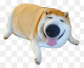 Shibe Thicccccc Shooberr Sticker By Robooooz - Soft Emoji,Shibe Emoji