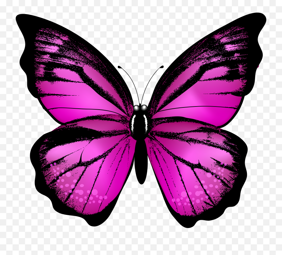 Butterfly Transparent Emoji,Butterfly Emoji Png
