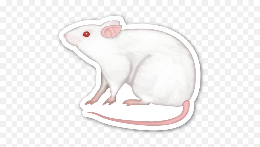 Emoji Sticker Pack - White Rat Emoji Png,Emoticon De Rata