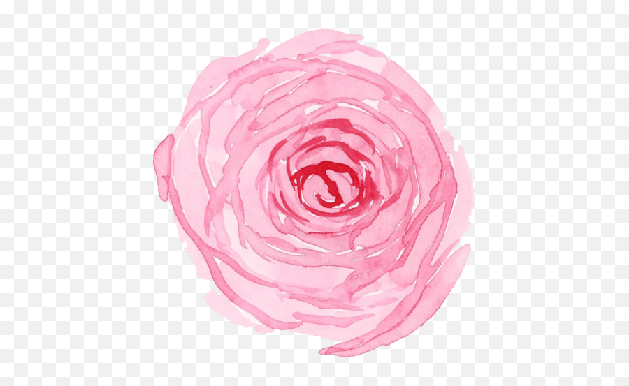 Buttercup Beauty - Pink Flower Favicon Emoji,Pro Tan Sweet Emotion Ingredients Deionized Water