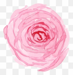 Buttercup Beauty - Pink Flower Favicon Emoji,Pro Tan Sweet Emotion Ingredients Deionized Water
