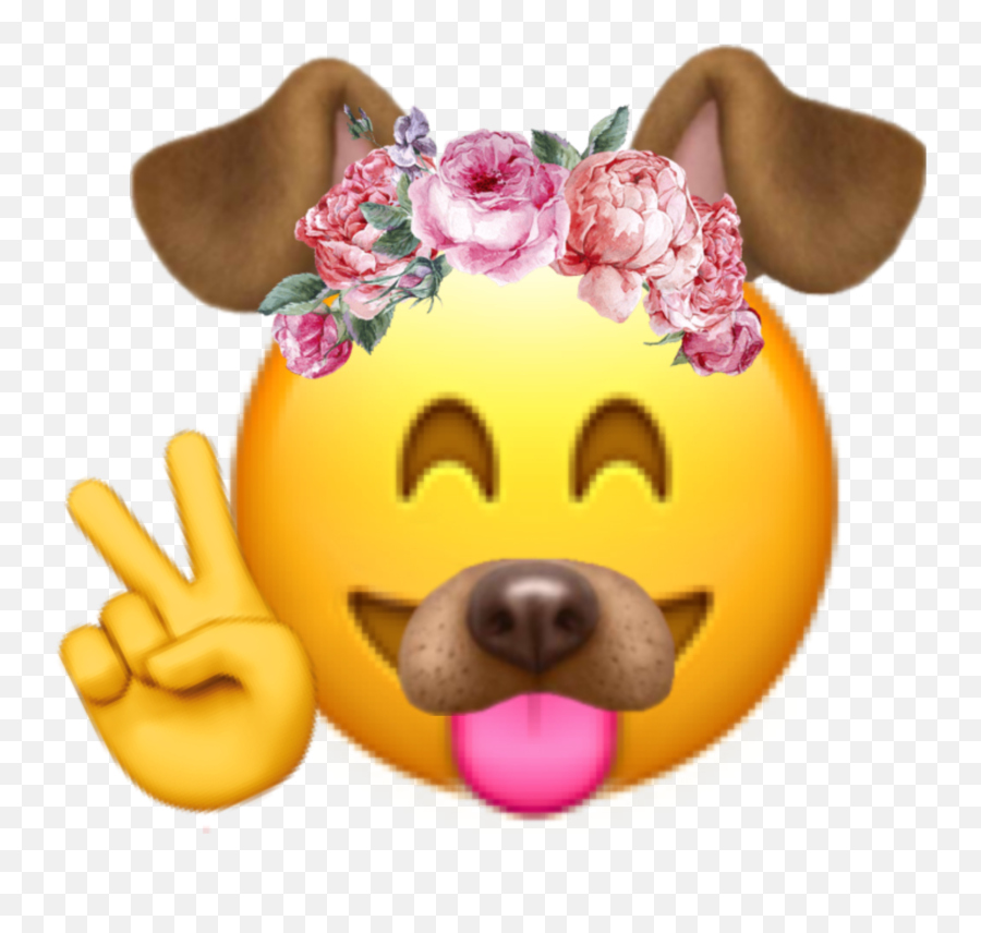 Emoji Snapchat Dogemoji Sticker By Philly,Emoji In Snapchat