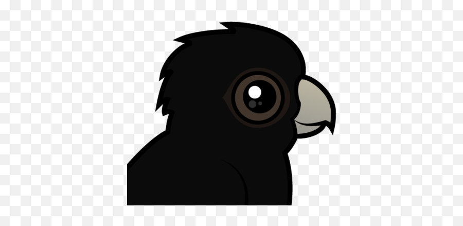 Meet The Cute Red - Red Tailed Black Cockatoo Clipart Emoji,Long-billed Corella Smile Emoticon