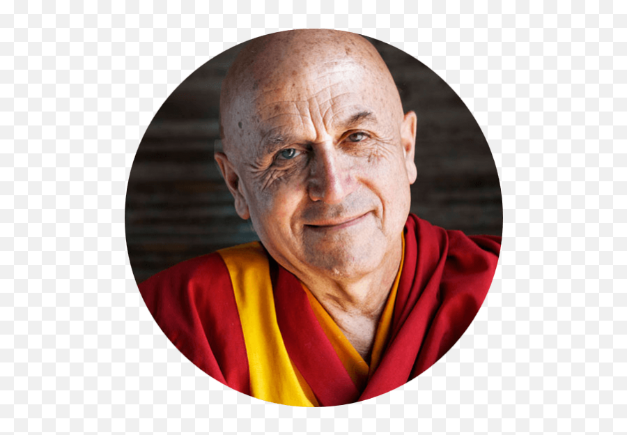 Positive Psychology Practitioner - School Of Positive Matthieu Ricard Hd Emoji,Fredricksons Positive Emotions