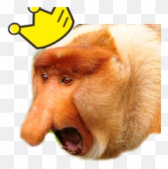The Most Edited Janusz Picsart - Dennis Memes Emoji,Ts Emoji Emoticon Monkey