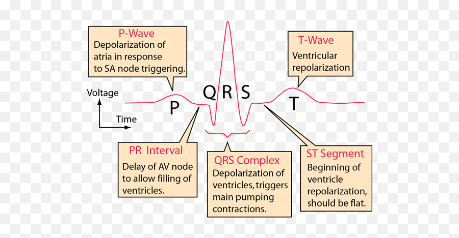 Electrocardiograms Emoji,Ecg Emotion Measure