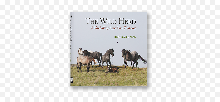The Wild Herd A Vanishing American Treasure By Deborah Kalas Emoji,Teddy Roosevelt Emotion