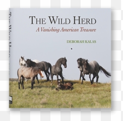 The Wild Herd A Vanishing American Treasure By Deborah Kalas Emoji,Teddy Roosevelt Emotion