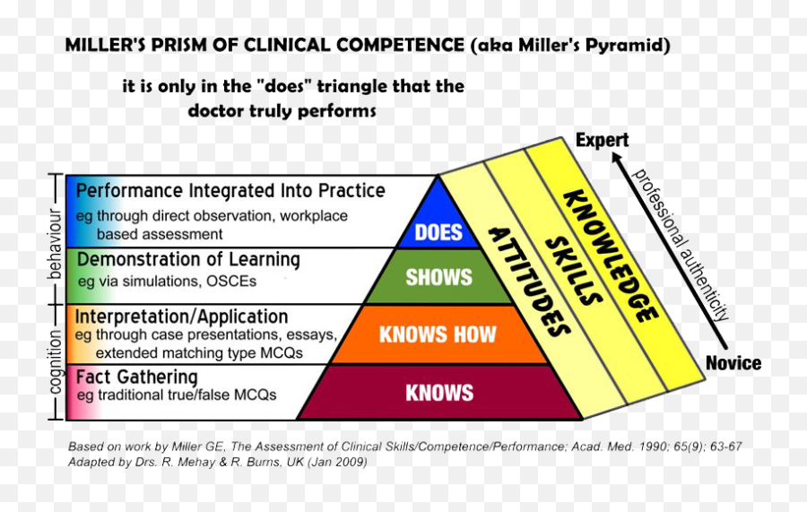 Milleru0027s Pyramid U0026 Prism - Gptrainingnet Emoji,Uncertainty Medical Knowledge Emotion Diagram Palliative