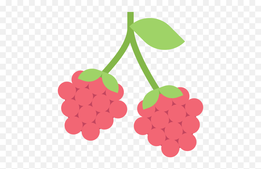 Raspberry Berry Berries Leaves Fruit Food Organic - Fresh Emoji,Rasberry Emoji