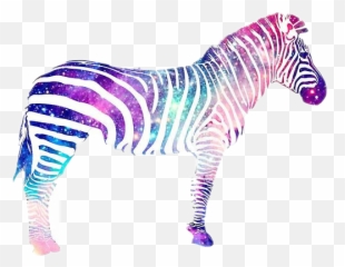 Zebra Sticker Challenge - Silueta De Cebra Emoji,Zebra Emoji
