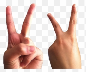 The Finger - Hand Signs Png Emoji,Stinkefinger Emoji