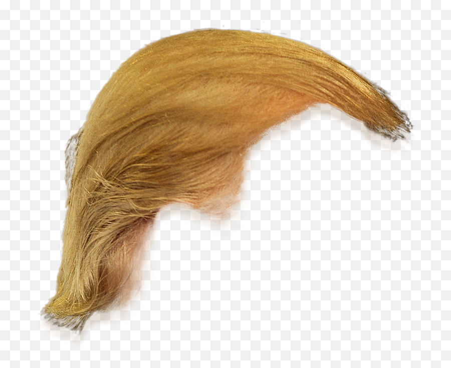 Donald Trump Hair Side View Png Transparent - Hair Donald Trump Wig Emoji,Free Trump Emoji
