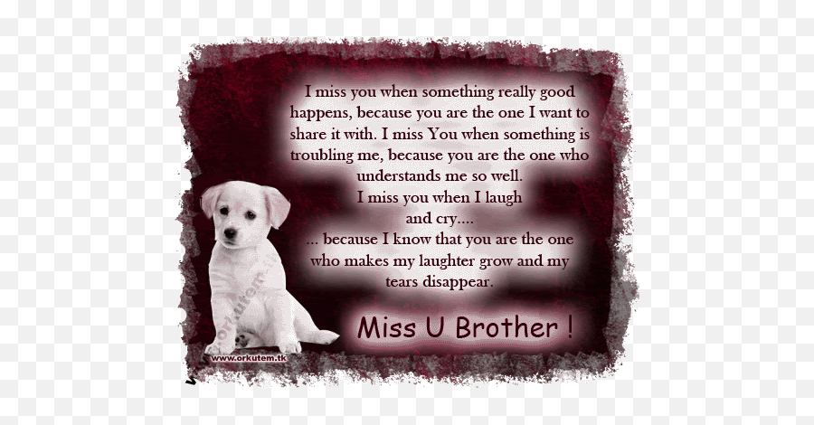 Missing My Brothers Quotes - My Dog Is My Brother Quotes Emoji,Heart Emojis For Brother