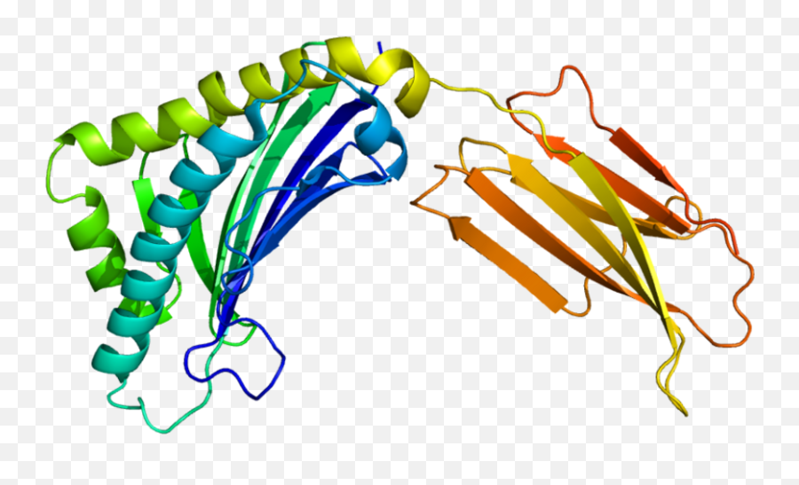 Health Effects Of Tobacco - Zinc Alpha 2 Glycoprotein Emoji,Bozinovski Cognition Emotion 1981