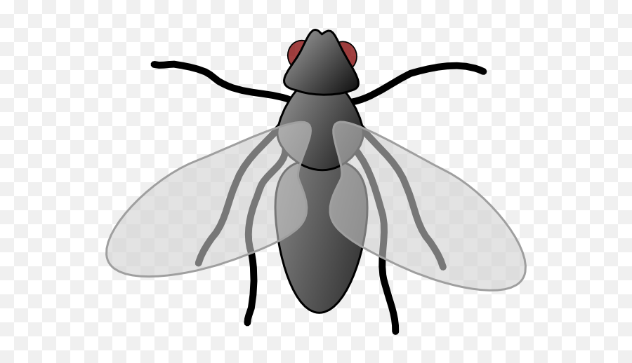 House Fly Clip Art - Fly Clipart Emoji,Housefly Emoticon