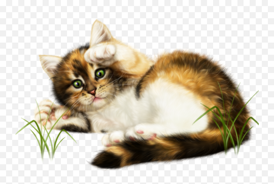 Cat Laying Down Png - Kitten Kitty Cat Cute Playtime Tubes De Chat Printemps Emoji,Kitten Emoticons