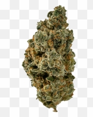 Cannabis Strains For Your Next Date Night - Language Emoji,Weed Emoticon Reggae Transparent
