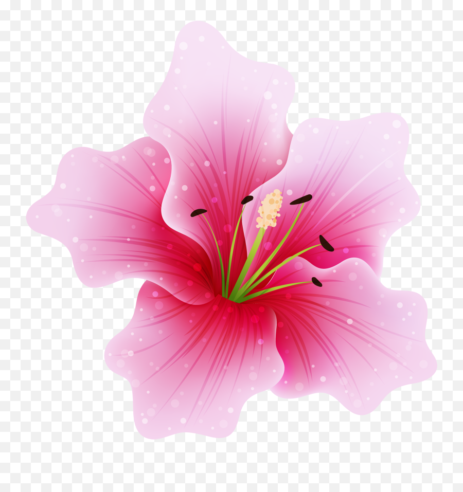 Lily Flower Sticker By Taliafera - Pink Flower Png Emoji,Lily Flower Emoji
