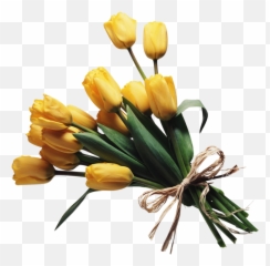 Ykinanah Whatsapp Stickers - Stickers Cloud Emoji,Emoticons Spring Flowers
