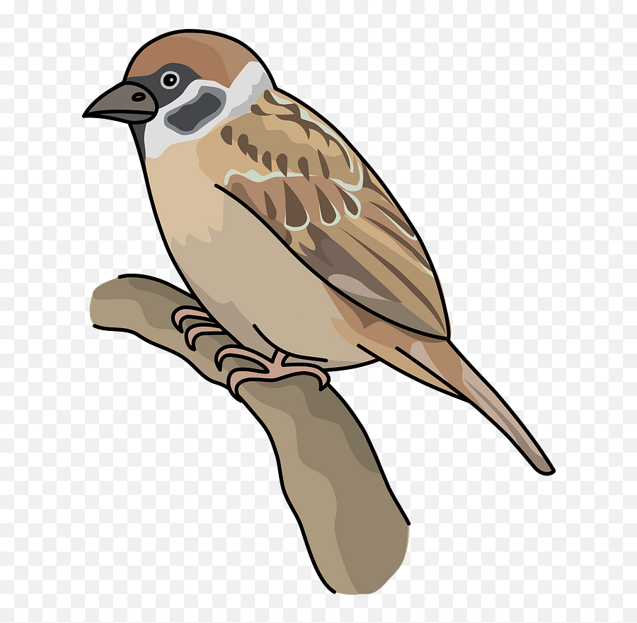 Sparrow Bird Clipart - Clipart Image Of Sparrow Emoji,Sparrow Emoji