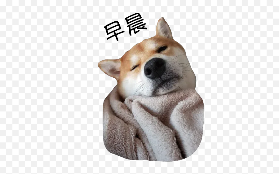 Stickers Cloud - Share Your Whatsapp Telegram And Signal Hokkaido Dog Emoji,Stitch Emoji Iphone