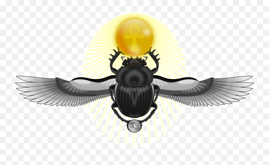 The Pineal Gland - Egyptian Beetle Symbol Emoji,Emotions Losing What Needs To Be Lost Dispanza