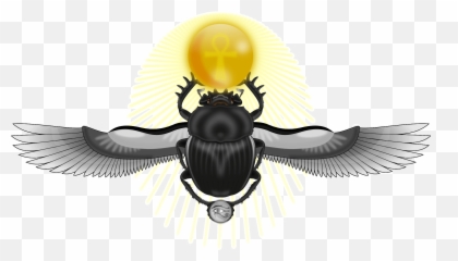The Pineal Gland - Egyptian Beetle Symbol Emoji,Emotions Losing What Needs To Be Lost Dispanza