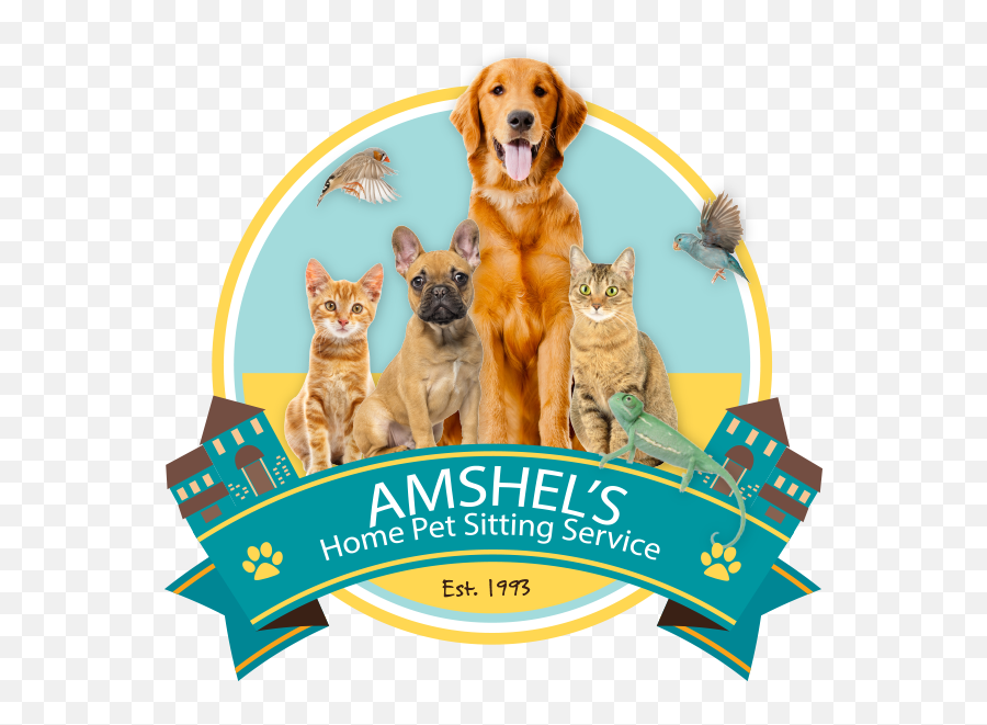 Pet Sitter In Pittsburgh Pa - Dog Emoji,Dog Cat Emotion Responses
