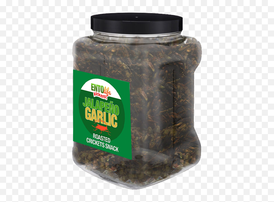 Bugs You Can Eat Edible Insects For Sale U2013 You Can Eat Bugs - Roasted Crickets Emoji,Gusano Emoticon
