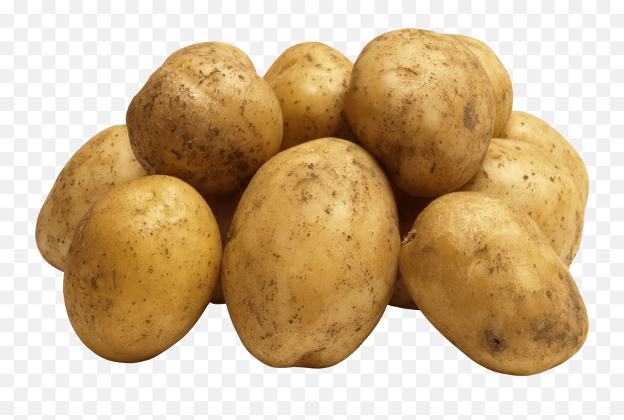 Get Inspired For Potato Transparent - Mockupdesigen Potato Png Emoji,Potaote Emoji