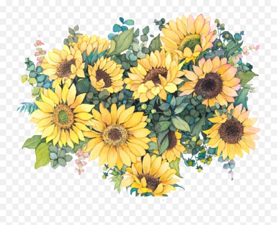 Watercolor Sunflower Png - Flowers Sunflowers Watercolor Sunflowers Png Emoji,Sunflower Emoji