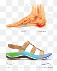 8 Plantar Fasciitis Shoe Brands You Can - Plantar Fasciitis Shoes Emoji,Sketcher Emoji Shoes