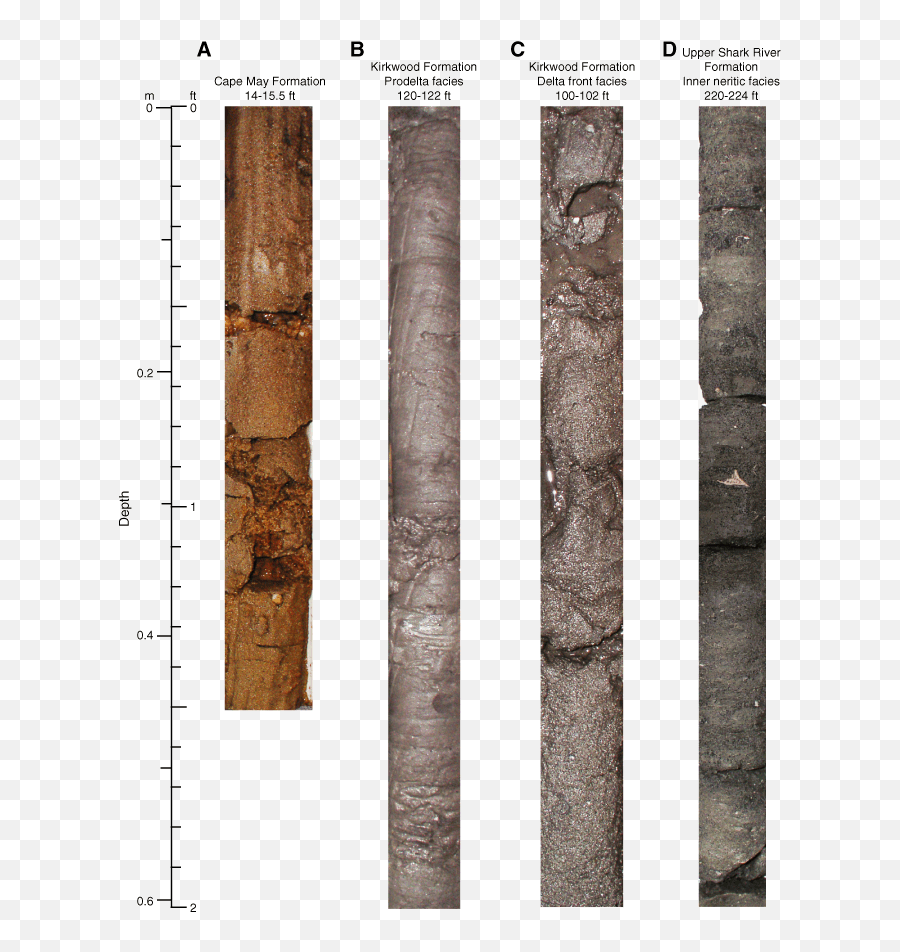 Figure F10 A Medium Sand From The Cape May Formation 14 - Vertical Emoji,Shark Emoticon Depth