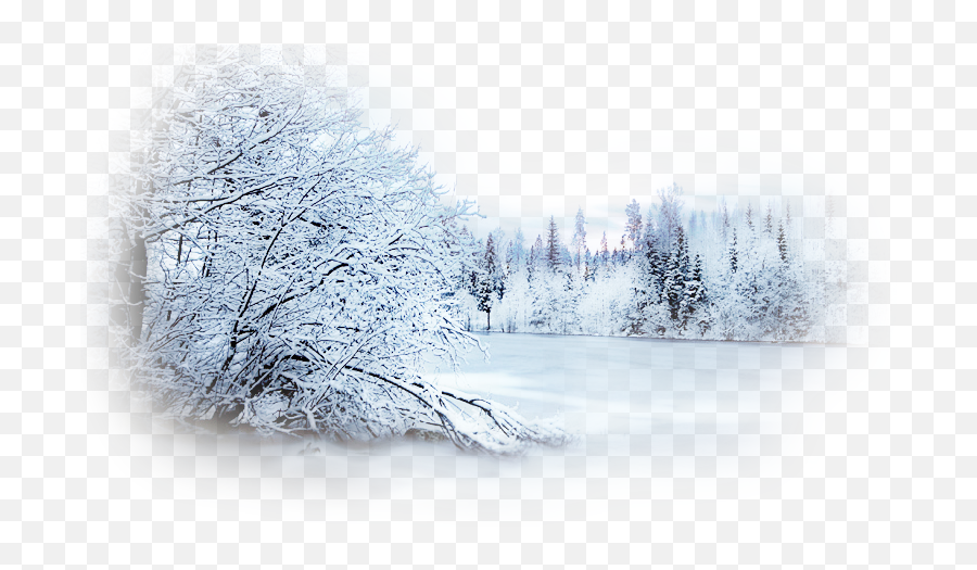Winter Desktop Wallpaper Photography Snow Clip Art - Snow Emoji,Winter Emoji Background