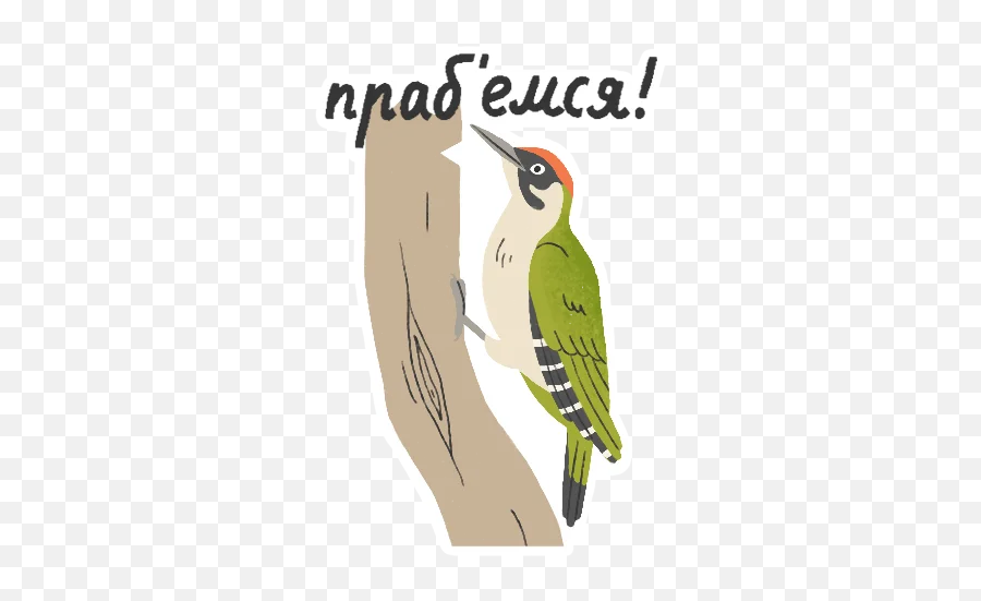 Ptushki Telegram Stickers Emoji,Woodpecker Emojis