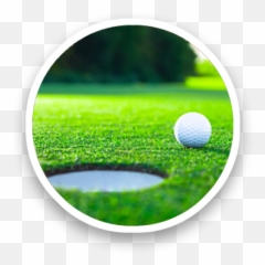 Dunning Custom Soils - Golf Ball On Turf Emoji,How To Control Emotions On Golf Course