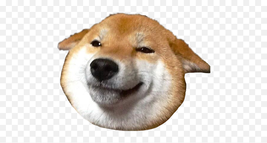 Smile Akita Shiba Dog Cute Sticker - Shiba Inu Head Transparent Emoji,Shiba Inu Emoji