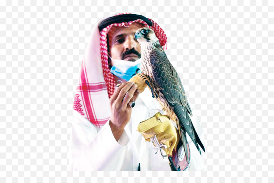 Lucrative Hobby In Saudi Arabia Emoji,Emotions Falcon