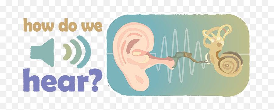 Hearing Sense - Learn 2 Earn Emoji,Cat Ear Emotions
