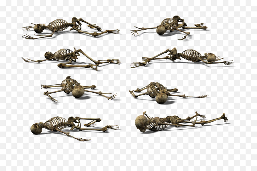 Skeleton Png Hd U2013 Png Lux - Skeleton Emoji,Skull Emojis Hd