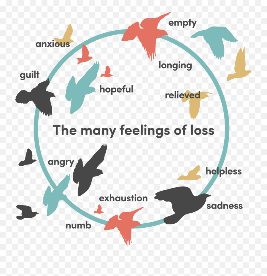 What Is Grief Grief Counselling Bereavement Counselling - Grief And Loss Counselling Emoji,Define Emotion Memory