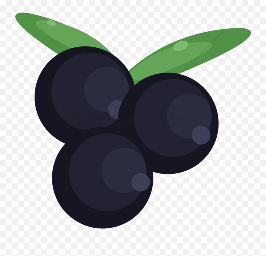 Blackcurrant Fruit Transparent - Cherry Clipart Full Size Black Currant Png Vector Emoji,Ay Emoji Png