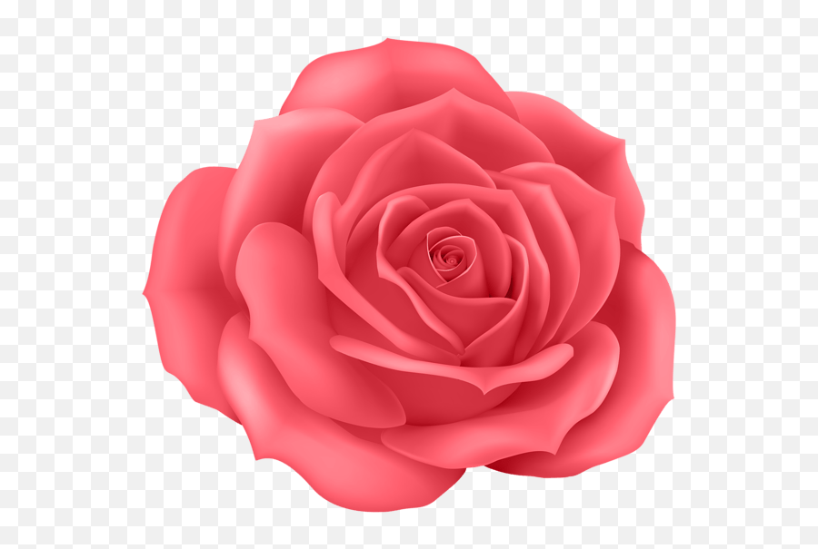 Cartoon Flower Png - Rose Cartoon Flower Png Emoji,Sad Emoji Pnj
