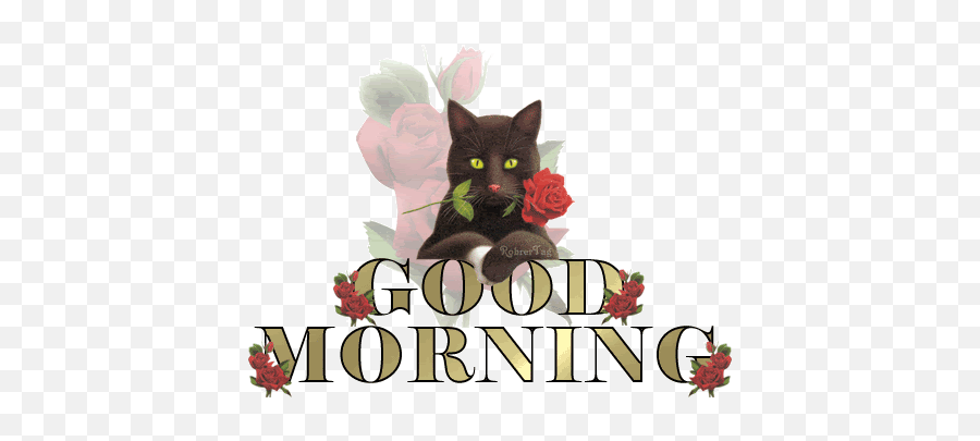 Good Morning Wishes With Cat Pictures Images - Page 14 Good Morning Black Cat Emoji,Black Cat Emoticon