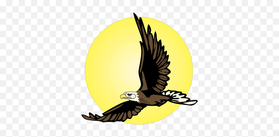 Students Overview - Eagles Who Thought They Were Chickens Emoji,Eagle Emoticon Ipad